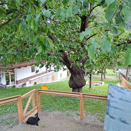 Appartamento Schalklerhof