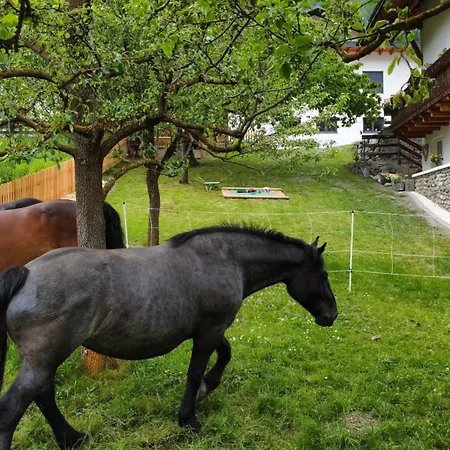 Schalklerhof شقة *