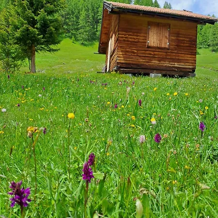 Schalklerhof