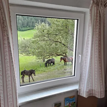 Appartamento Schalklerhof
