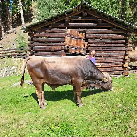 Schalklerhof דירה