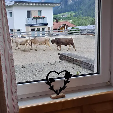 Schalklerhof Appartement