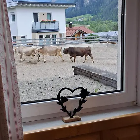 Appartement Schalklerhof
