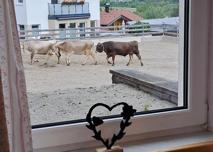 Schalklerhof Appartement